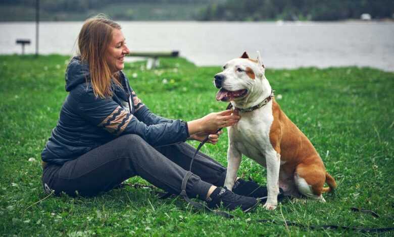 The Power of Positive Reinforcement: Training Your Pet with Rewards