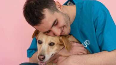 The Joys of Pet Adoption: Heartwarming Stories and Benefits