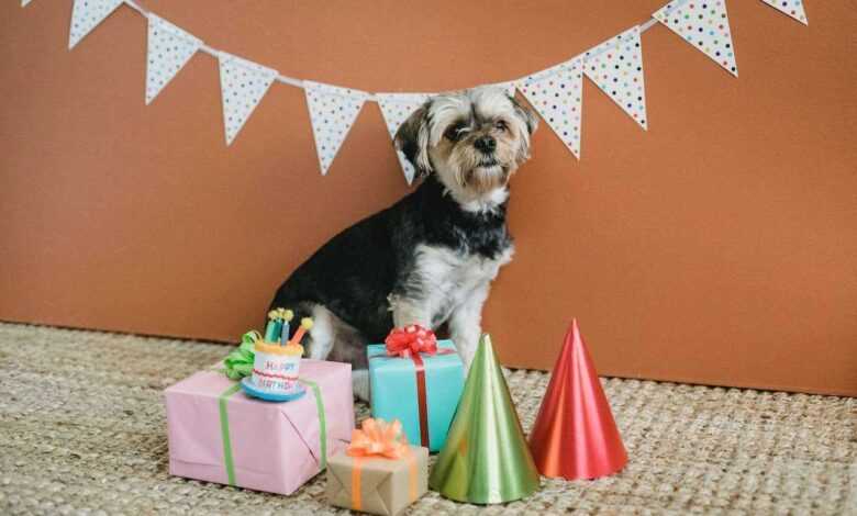 Pet Party Planning