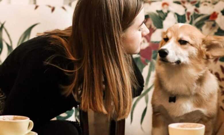 Pet-Friendly Restaurants