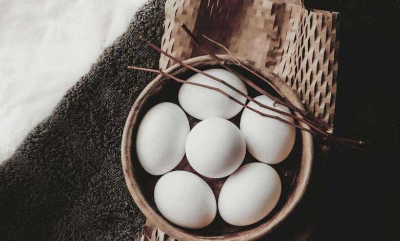 Duck Egg Harvesting Handbook: Collecting and Storing Duck Eggs