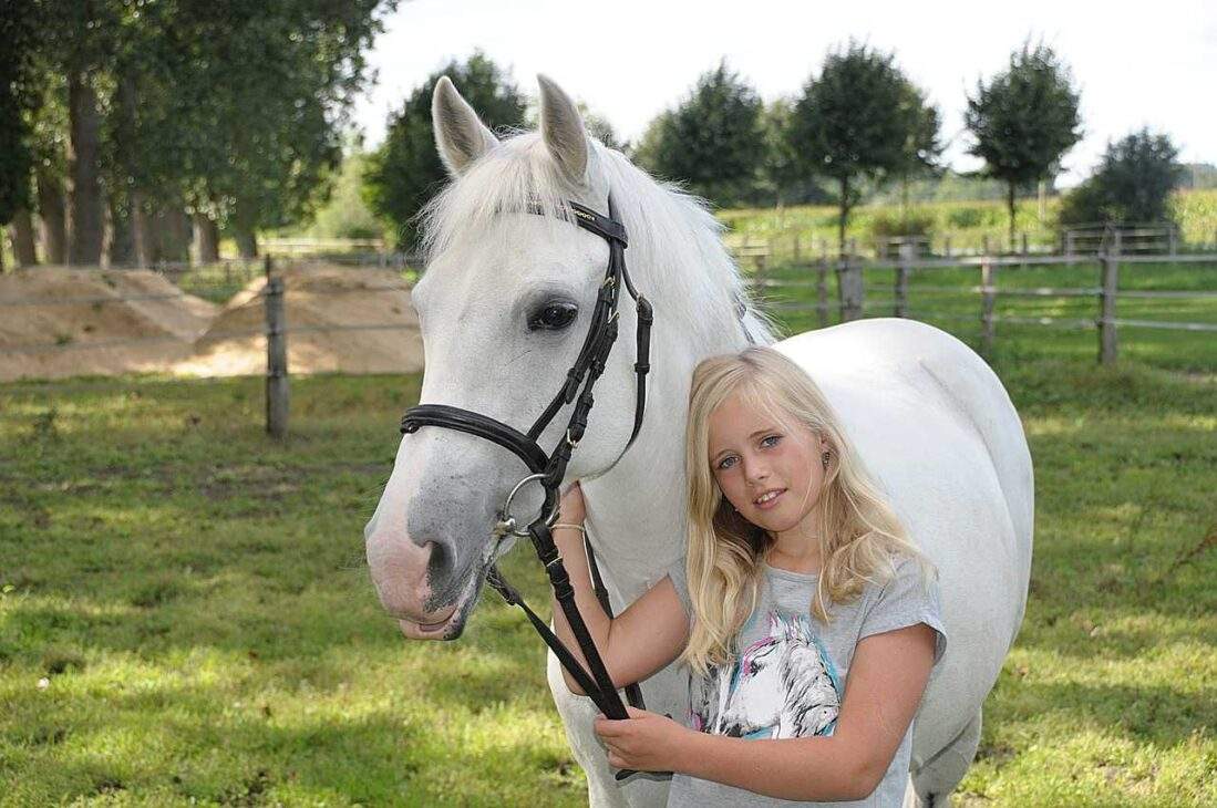 Pony Power: 10 Reasons Why Ponies Make Perfect Family Companions (US)