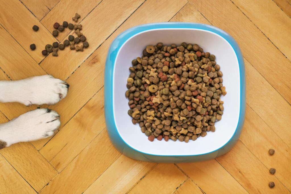 Healthy Diet for Large Breed Dogs