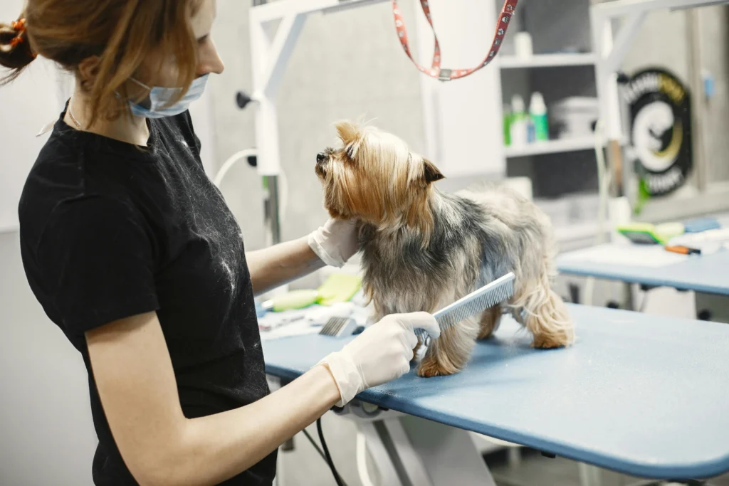 Common Pet Grooming Mistakes