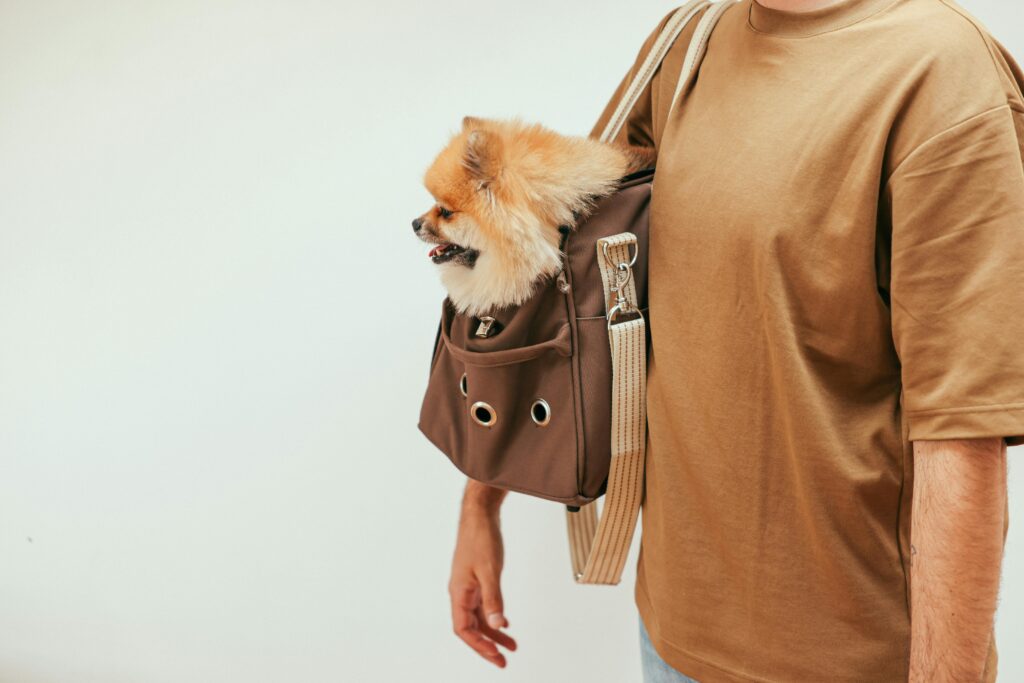 Pet Insurance and Preventive Care Savings