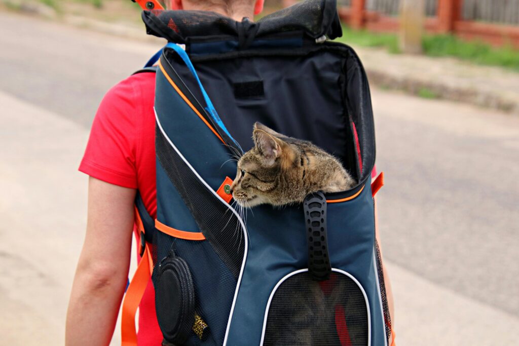 Pet Insurance and Preventive Care Savings