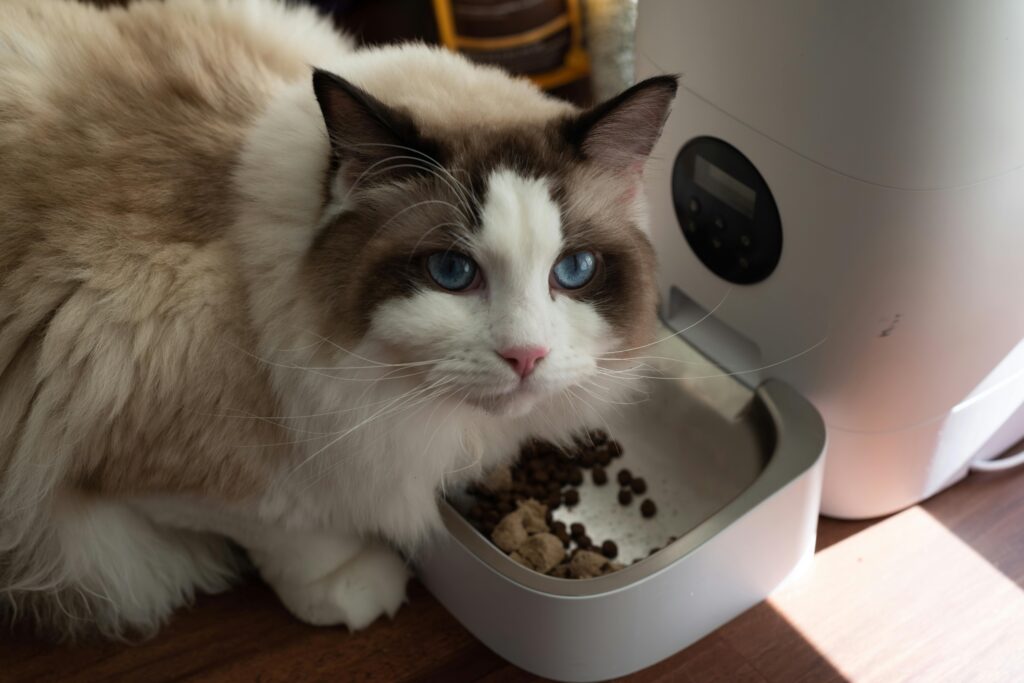 Vet-Approved Pet Diet Guide