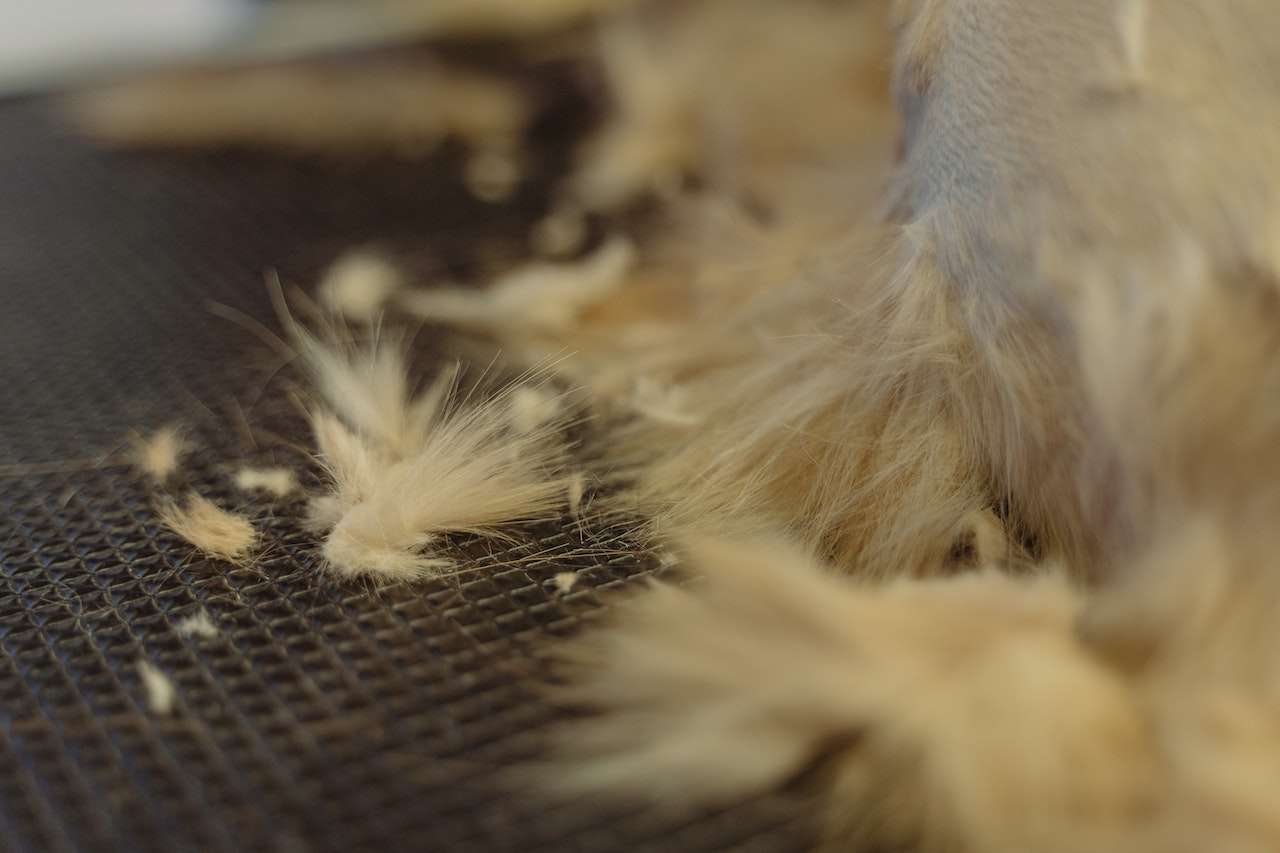 Dealing with Shedding