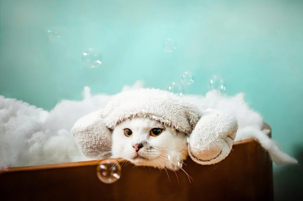 Pet Spa Day: Pampering Your Furry Friend at Home Pet Spa Day: Pampering Your Furry Friend at Home