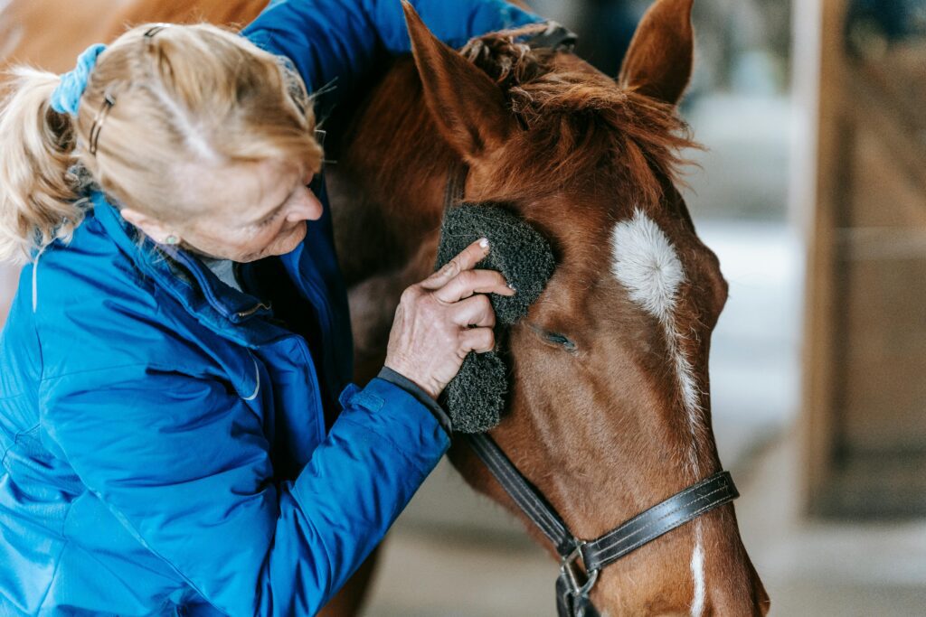 DIY Horse Bathing Tips: Keeping Your Equine Fresh and Clean