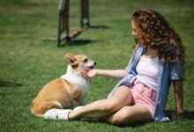 Natural and Holistic Pet Care