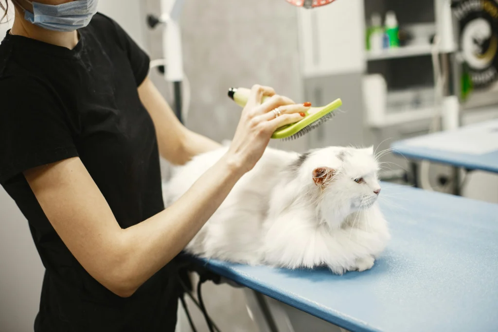 Pet Brushing Basics: How to Keep Your Pet's Coat Healthy