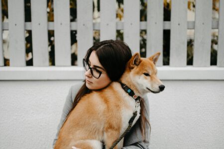 Older Pet Care: A Complete Guide to Loving Your Pet