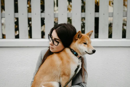 Older Pet Care: A Complete Guide to Loving Your Pet Older Pet Care: A Complete Guide to Loving Your Pet
