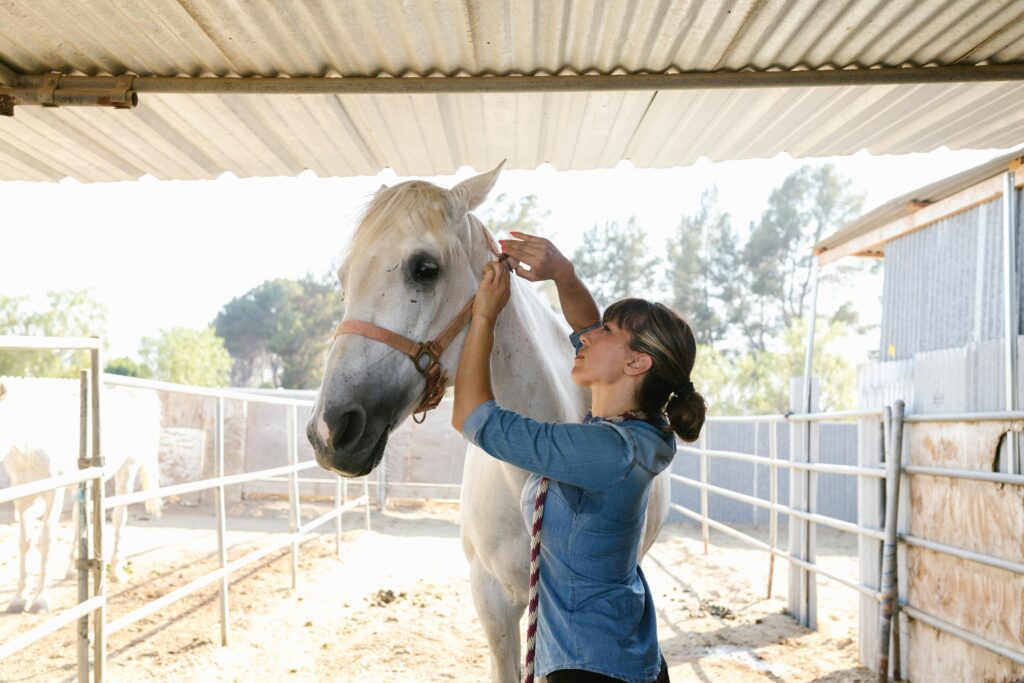 DIY Horse Bathing Tips: Keeping Your Equine Fresh and Clean