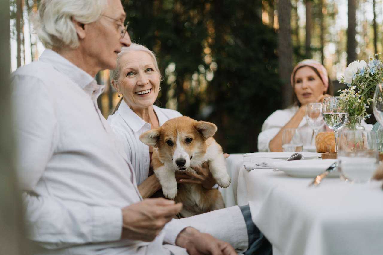 Senior Pet Care