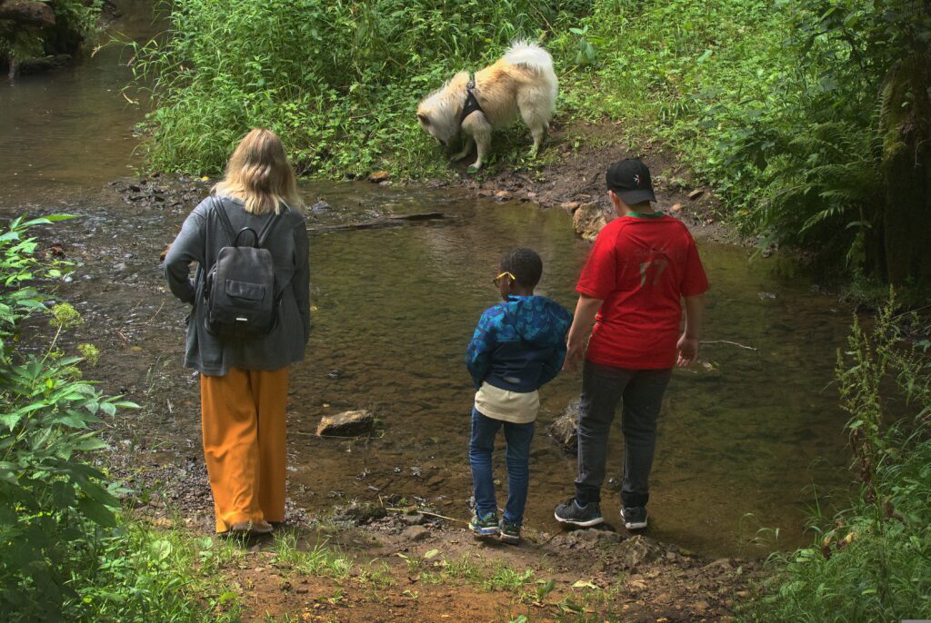 Outdoor Adventures With Dogs: The Complete Hiking, Camping, and Trail Guide