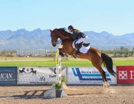 Show Jumping Gymnastics Exercises for Horses (Stop Rushing!) Show Jumping Gymnastics Exercises for Horses (Stop Rushing!)