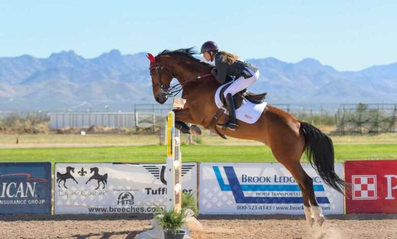 Mastering Horse Jumping Training: Techniques and Best Practices