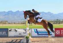 Mastering Horse Jumping Training: Techniques and Best Practices