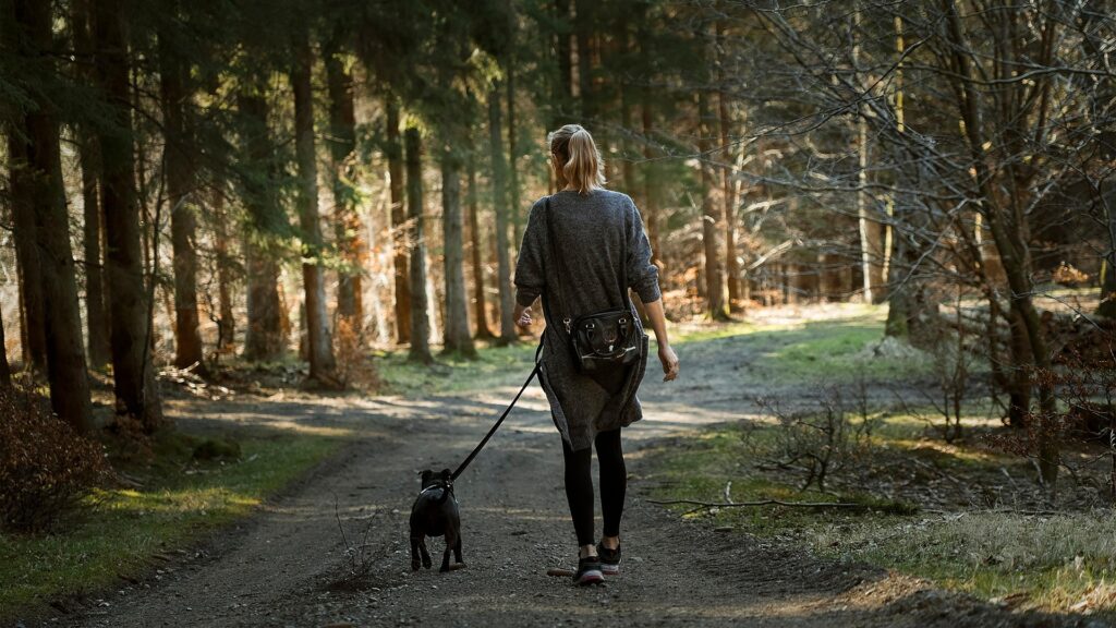 Dog Walking in Harmony: Mastering Your Dog's Outdoor Etiquette