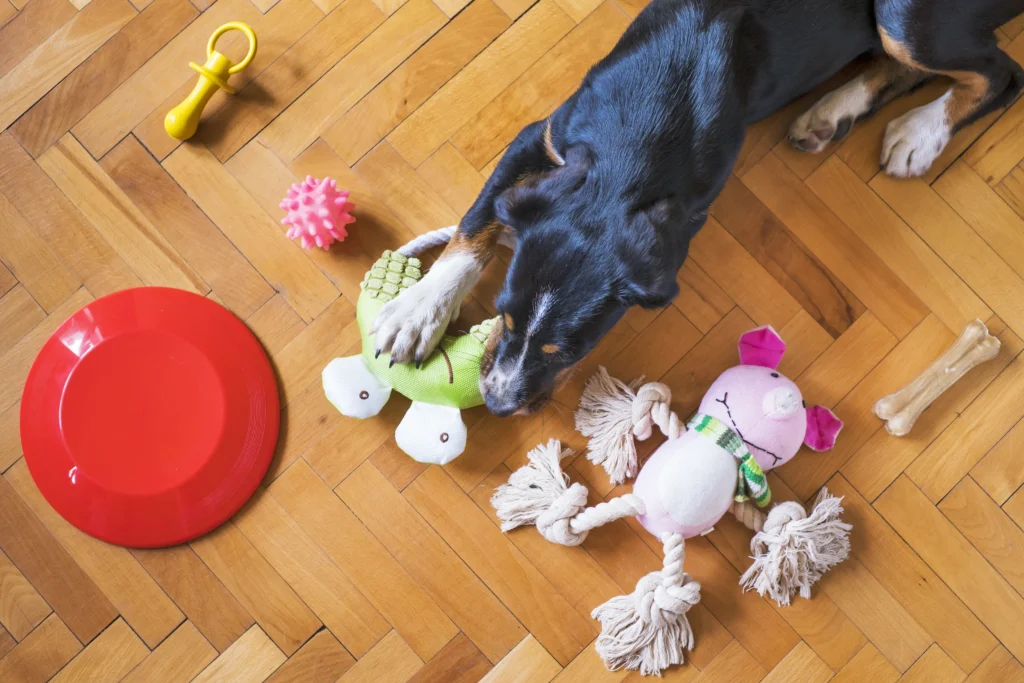How to Stop Destructive Dog Behavior: The Complete Guide to Barking, Chewing, Jumping, and More