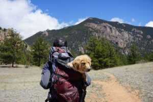 Outdoor Adventures With Dogs: The Complete Hiking, Camping, and Trail Guide