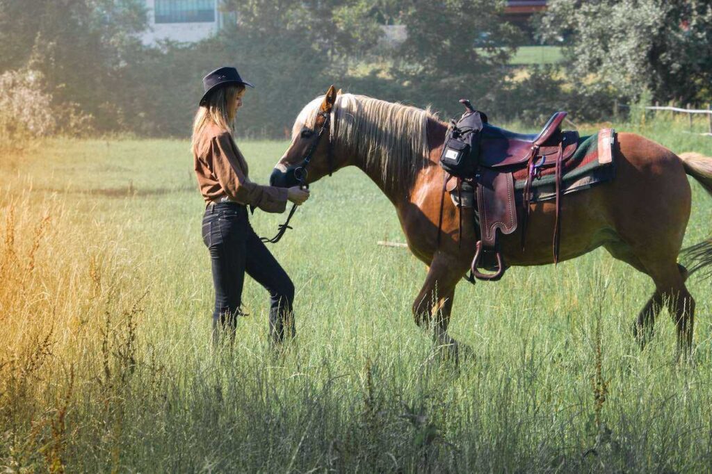 Best Horse Breeds for First-Time Owners: Expert Guide 2026