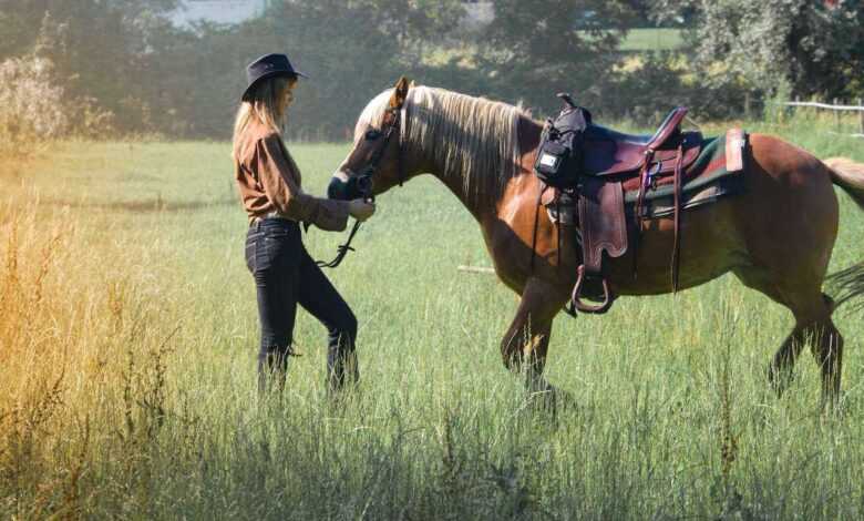 How to Choose the Right Horse Breed for You: Expert Tips