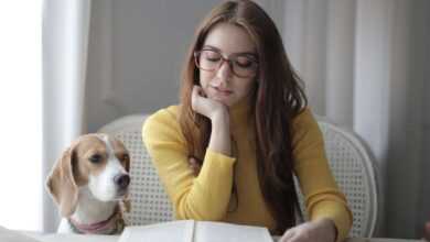 Pet Book Club: Recommended Reads for Animal Enthusiasts
