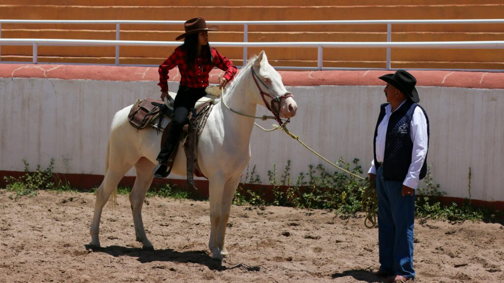 Learning to Ride a Horse as an Adult: The Complete Beginner's Guide 2026