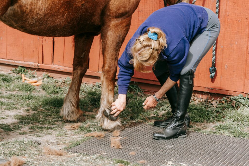 Performance Horse Hoof Care: The Complete Farrier and Hoof Health Guide 2026