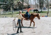 Horse Riding Lessons for Adults: A Journey of Skill and Confidence