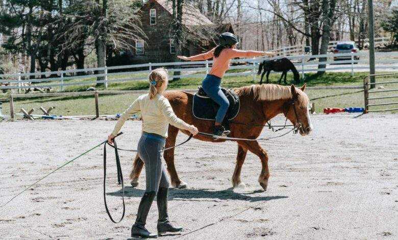 Horse Riding Lessons for Adults: A Journey of Skill and Confidence