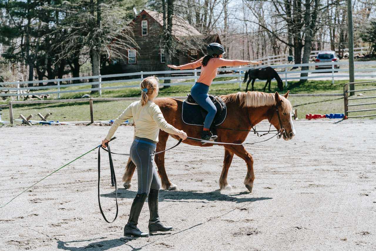 Horse Riding Lessons for Adults: A Journey of Skill and Confidence