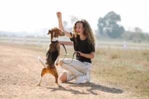 What Is Clicker Training, and Why Does It Actually Work?