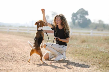 What Is Clicker Training, and Why Does It Actually Work? What Is Clicker Training, and Why Does It Actually Work?
