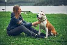 The Power of Positive Reinforcement: Training Your Pet with Rewards