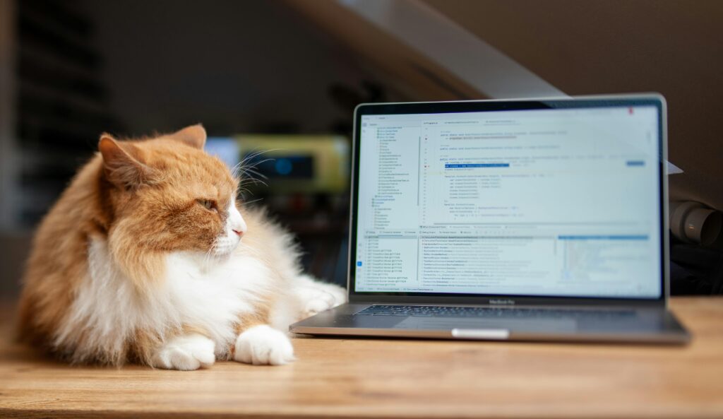Cat Tech Gadgets: The Latest Innovations for Your Companion