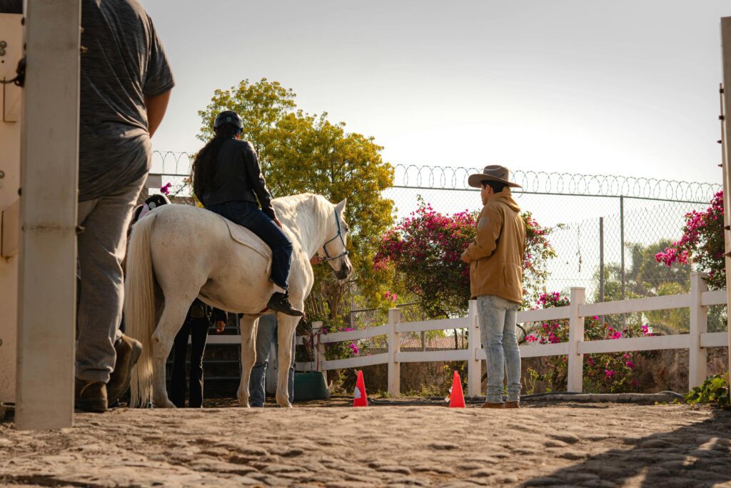 Learning to Ride a Horse as an Adult: The Complete Beginner's Guide 2026