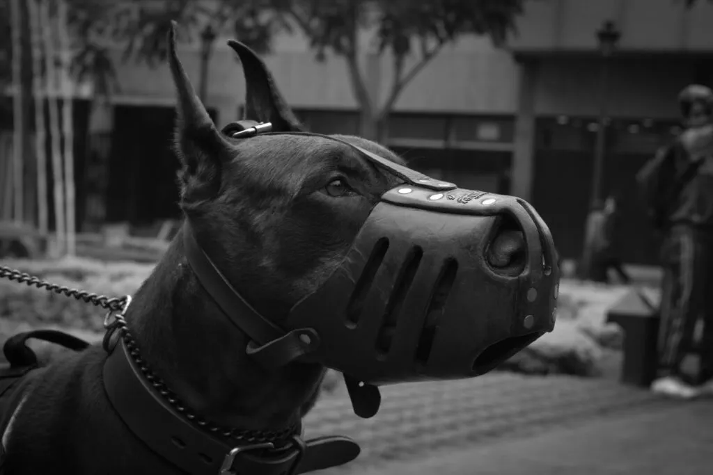 Dog Aggression Behavior Modification: The Complete Safe and Science-Based Guide