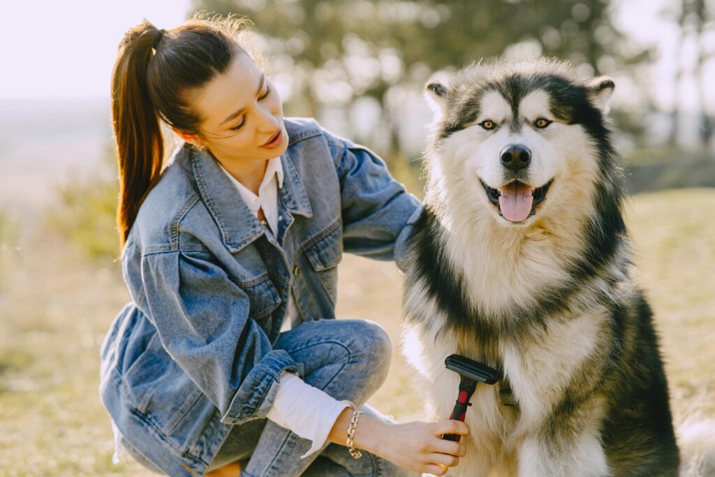 Dealing with Dog Matting and Tangles: Untangling the Knots