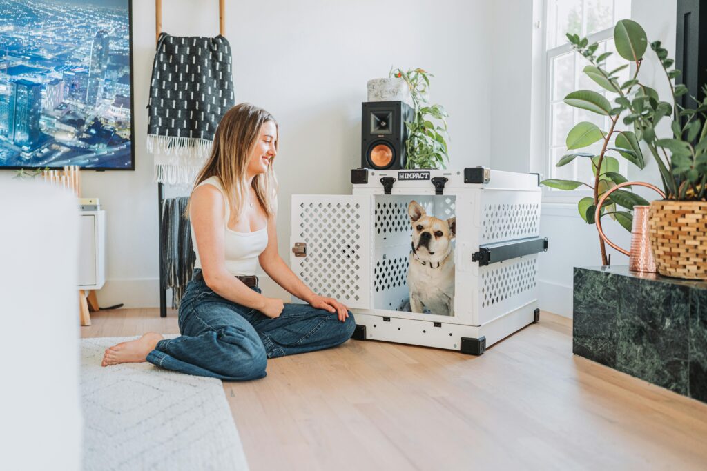 Dog Friendly Home Decor: The Complete Guide to a Stylish and Safe Dog Home
