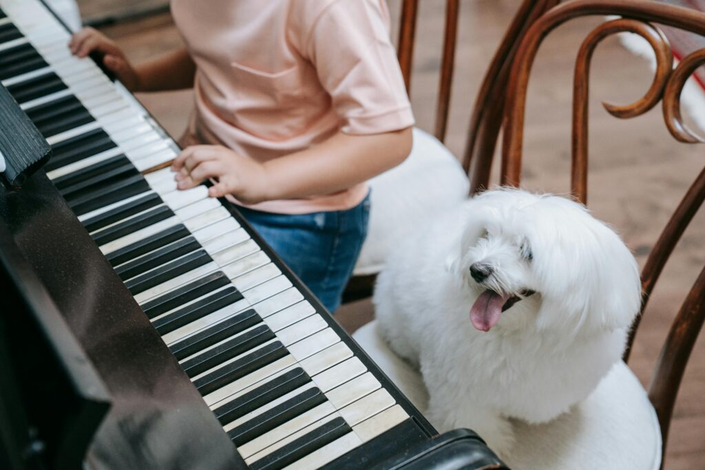 Calming Music for Dogs: The Complete Science-Backed Guide to Dog Audio Enrichment