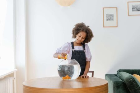 The Best Pet Fish Foods and How to Feed Your Fish Properly