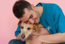 The Joys of Pet Adoption: Heartwarming Stories and Benefits