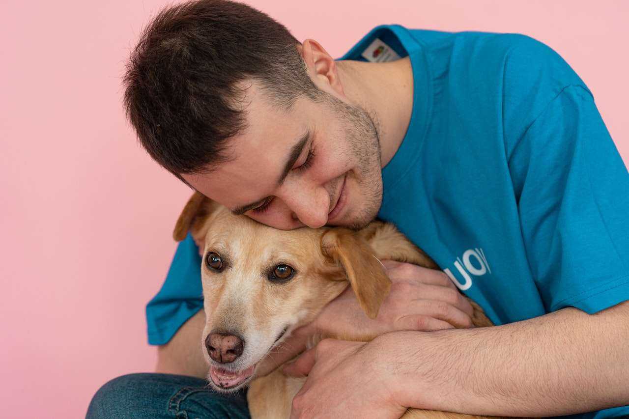 The Joys of Pet Adoption: Heartwarming Stories and Benefits