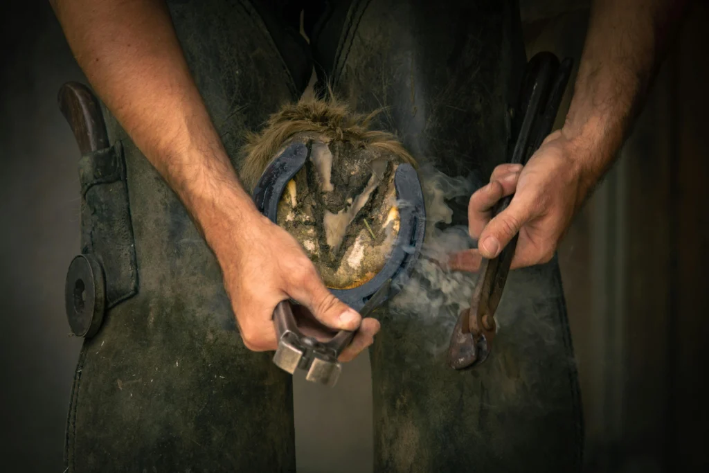 Performance Horse Hoof Care: The Complete Farrier and Hoof Health Guide 2026