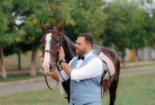 Helping Your Horse Cope with Separation Anxiety