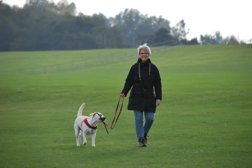 Dog Walking in Harmony: Mastering Your Dog's Outdoor Etiquette
